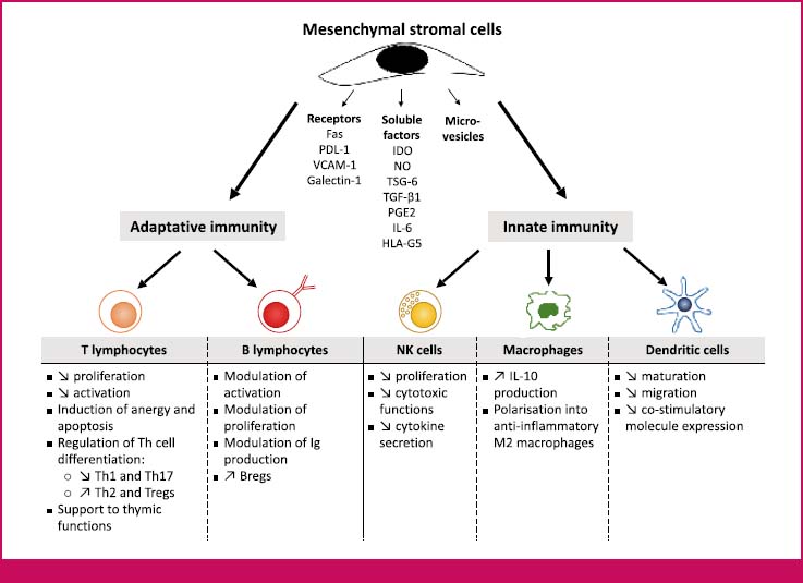 stem cell treatment for covid stem cell treatment for covid