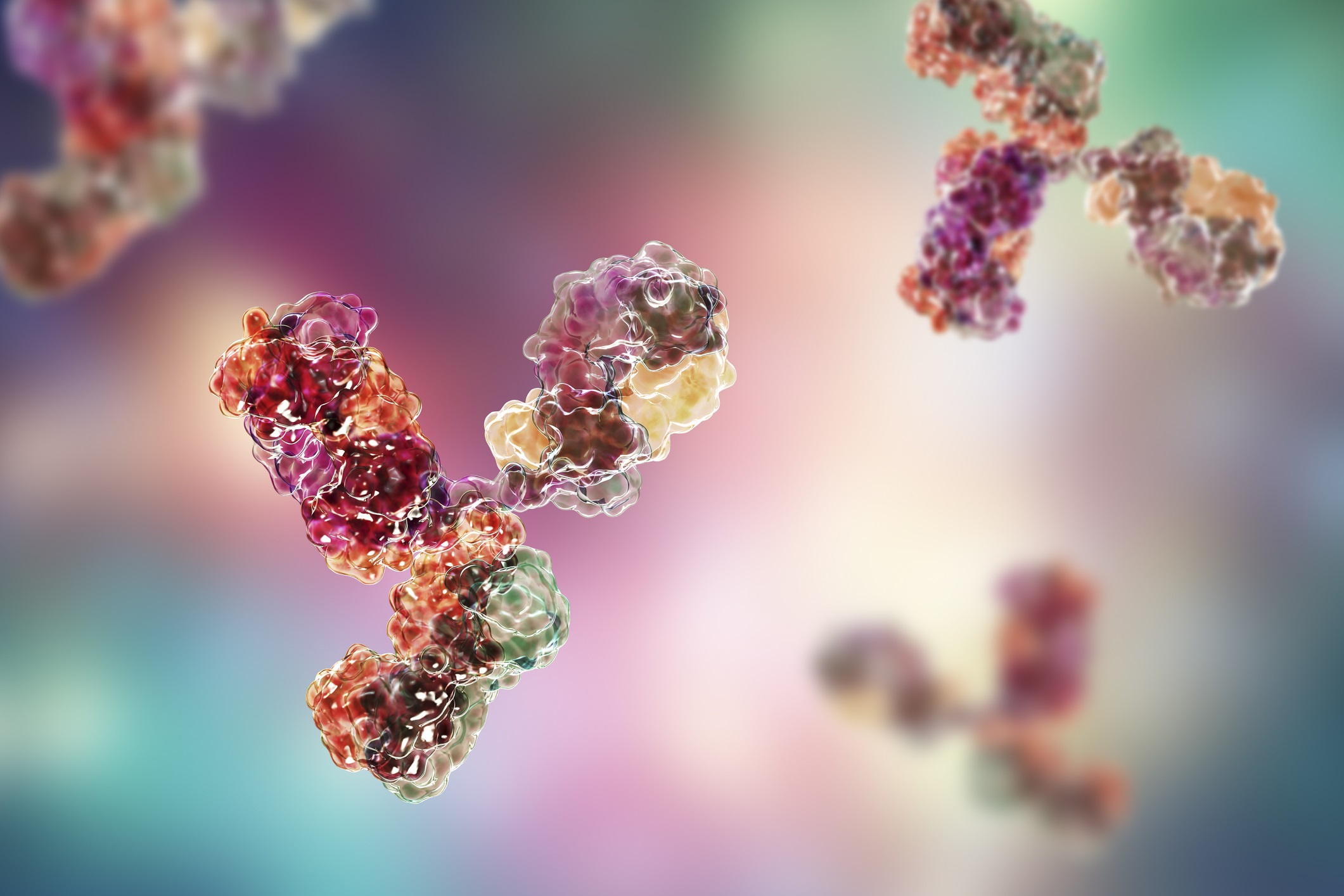 monoclonal antibody production
