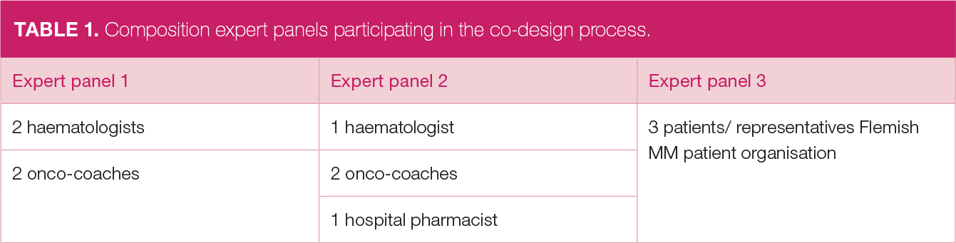  Composition expert panels participating in the co-design process.